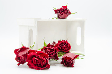 White wooden box with a bunch of red scattered roses isolated on a white background