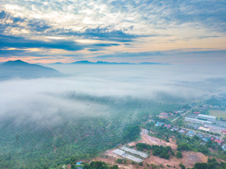 Wall Mural - Aerial view of mountain and morning mist during sunrise.