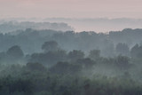 Fototapeta Na ścianę - Mystical view from top on forest under haze at early morning. Eerie mist among layers from tree silhouettes in taiga under predawn sky. Morning atmospheric minimalistic landscape of majestic nature.