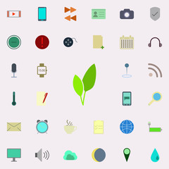 Aufkleber - leaves of a plant icon. color web icons universal set for web and mobile
