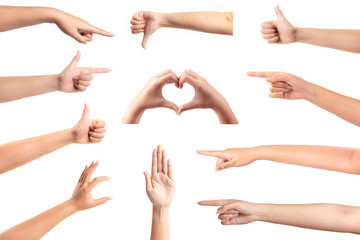 Wall Mural - Set of female hands isolated on white background