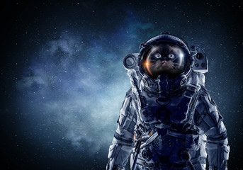 Wall Mural - First trip to space. Mixed media