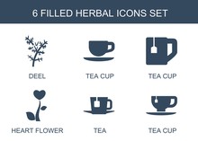6 Herbal Icons