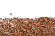 Brown flax seed on white background.