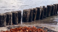 Wooden Poles On A Row At The Beach And In The Water On A Cold Autumns Day In Denmark, Scandinavia. ZOOM OUT