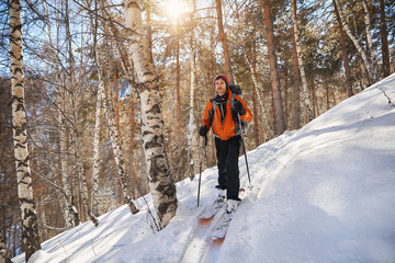 Skiing in the winter forest