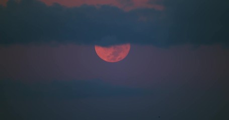 Wall Mural - Reddish Full moon against blue cloudy sky. Close-up.