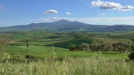 Wall Mural - tuscany landscape with farmland hill fields in italy, europe, 4k