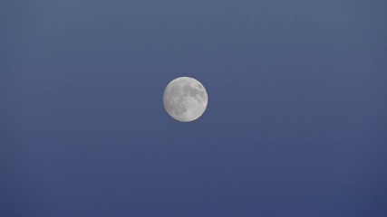 Wall Mural - Full moon floating in clear blue sky at dusk