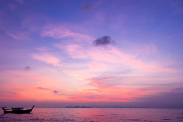 Wall Mural - world environment day concept: sky at sunrise sunset