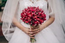 Bride Holds A Bouquet Of Red Orchids