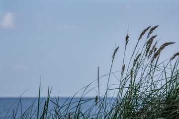 Canvas Print - Laboe