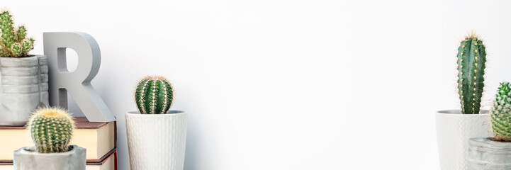 Cactuses in DIY concrete pots against the background of an empty wall with space for text. Copy space. Wooden letter R and a stack of books. Panoramic real photo