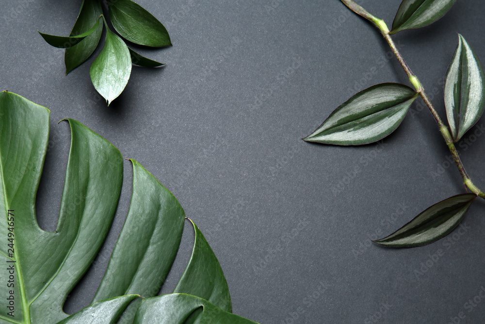 Fresh tropical leaves on grey background