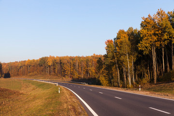 Wall Mural - The asphalt road