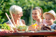 © ivanko80 - Family having lunch at summer garden party