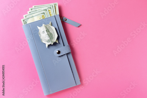 Wallet With Money And Origami Turtle Made Of Dollar Banknote