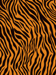 Seamless pattern with tiger skin. Black and orange tiger stripes. Popular texture.