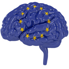 3D Human brain is colored flag of European union