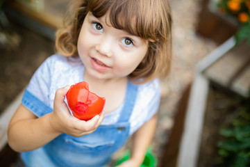 Little girl in the garden, holding red organic tomato