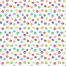 Colorful Pattern With Animal Paws