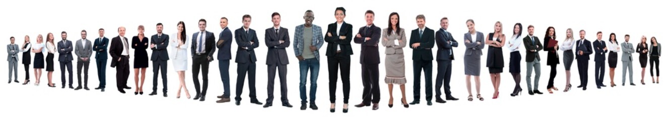 Wall Mural - panoramic photo of a group of confident business people.