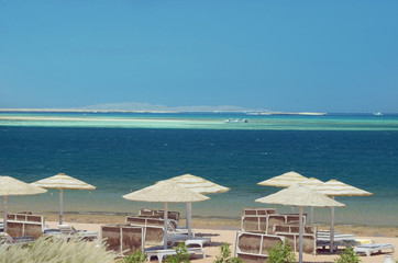 Wall Mural - sandy beach with umbrellas on the shore of the azure sea.