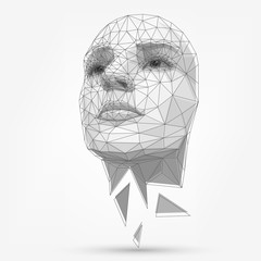 Wall Mural - Human face, polygonal mesh, technology. Robot