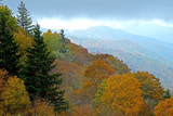 Fototapeta Na ścianę - In fall colors, top of the Smoky Mountains on a foggy morning.