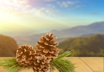 Poster - Pine cones with branch on a white background.