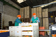 © JackF - Two women warehouse workers preparing mandarins for delivery on market