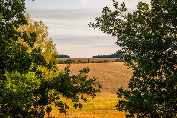 Sunny landscape of Germany mountainous field.