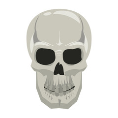 Sticker - Human skull drawing