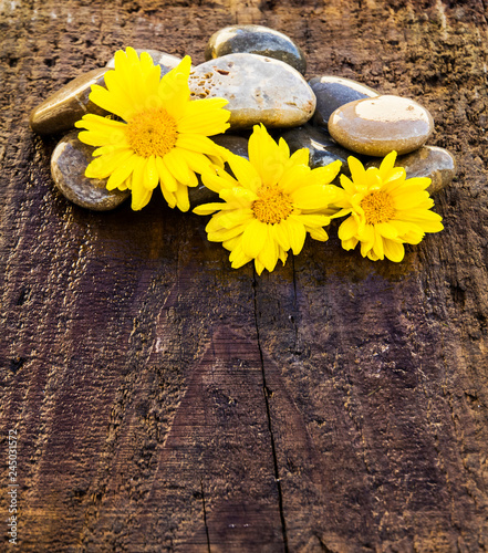 piedras y flores sobre un fondo de madera