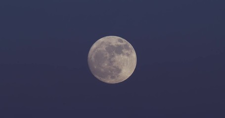 Wall Mural - Nice shot of a full moon at dusk with blue sky