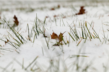 After snowfall