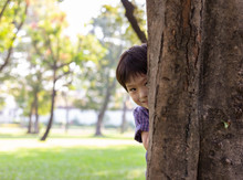 Handsome Boy Hiding Behind Tree For Playing Hide And Seek With Friend At Park Or Son Hiding Mother Behind Tree Because Little Kid Do Something Wrong. He Is Laughing Because Nobody Can Not See Him