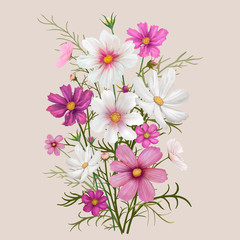 Canvas Print - Colorful Daisy flowers illustration