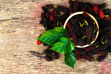 Wall Mural - Mulberries fruits in bowl on wood backgrounds above for your text