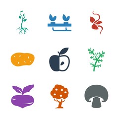 Poster - 9 organic icons