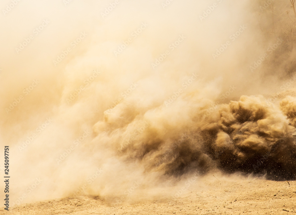 Dust cloud on nature as background - obrazy, fototapety, plakaty 
