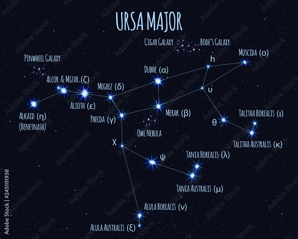 full-ursa-major-great-bear-big-dipper-constellation-vector