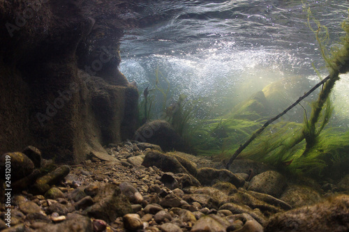 Fotomural Rocks underwater on riverbed with clear freshwater