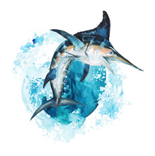 Watercolor Hand-drawn Marlin Illustration - Jumping Up From The Foamy Ocean Wave, Playful, Happy. Character, Logo, Children Wallpaper, Doodle, Cartoon. Marine Clip Art. Ocean, Sea Inhabitant.