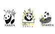 Hand drawn panda with bamboo. Vector illustration isolated on white. Panda Logo Design Inspiration.