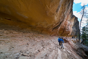 Trail to Mesa Verde's Petroglyph Point, Mesa Verde National Park, Unesco World Heritage Site, Colorado, Usa, America