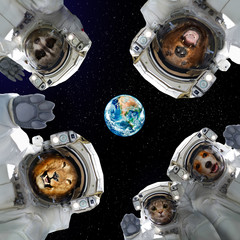 Wall Mural - animals in space suits in space on the background of the planet earth. elements of this image furnis