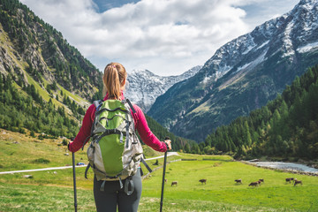 Wall Mural - young woman hiking in the mountains