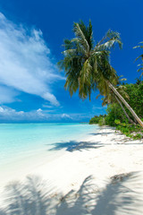  tropical Maldives island with white sandy beach and sea