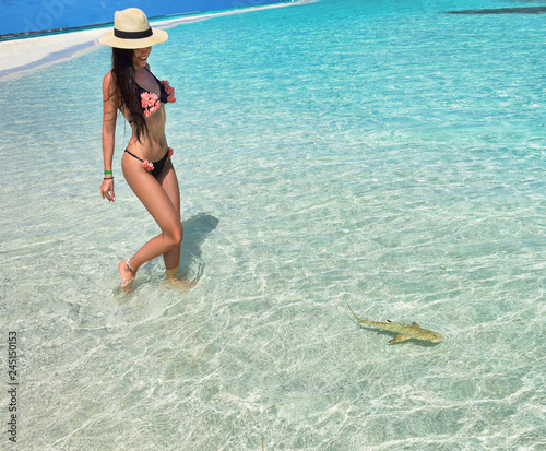 Fotomural Beautiful woman looking at little shark.